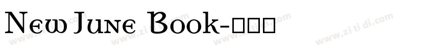 NewJune Book字体转换 NewJune Book字体转换